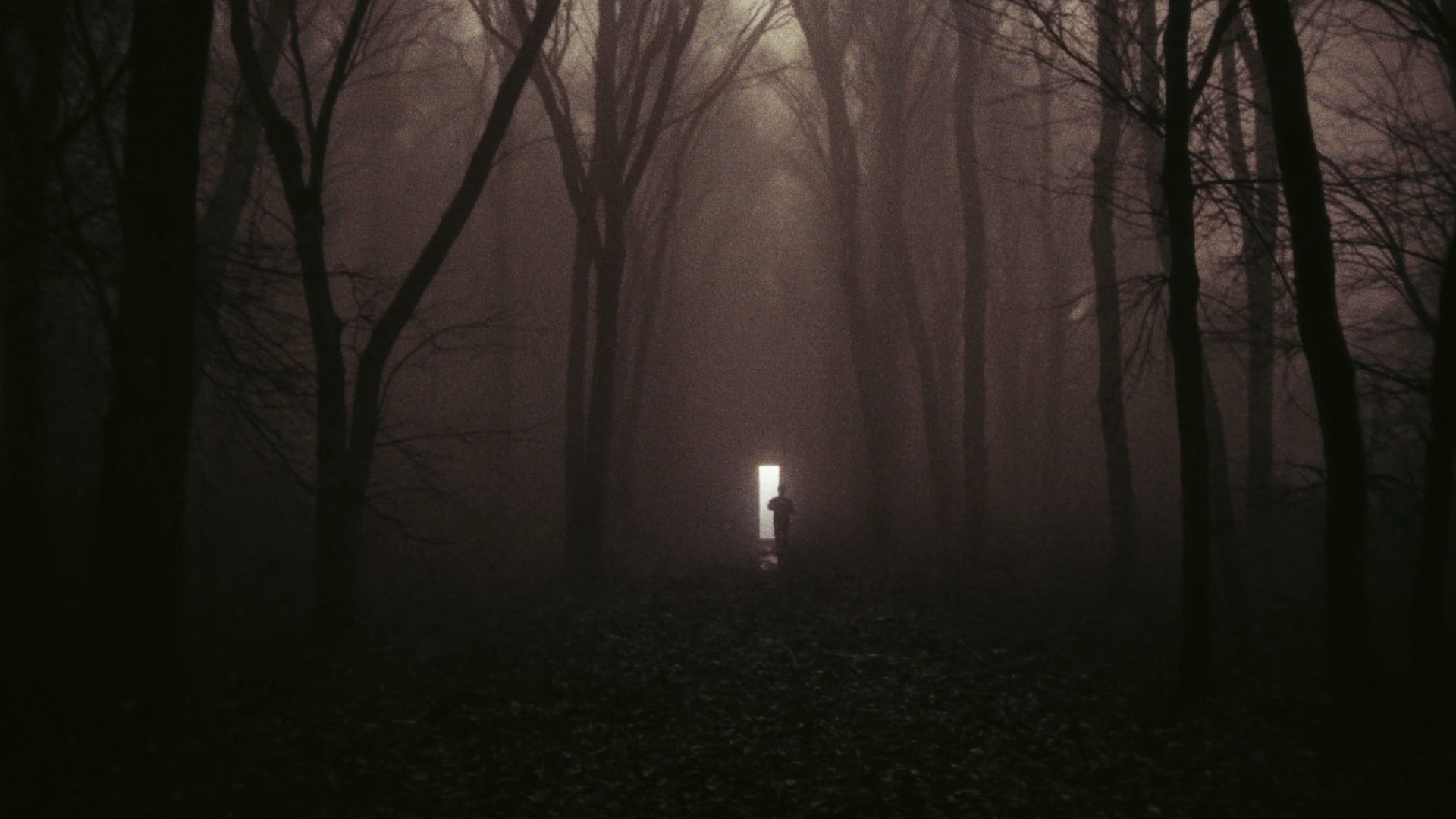 Doorway of light in a foggy forest